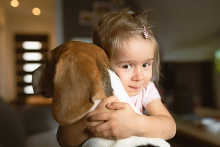Os Beagles gostam de abraçar